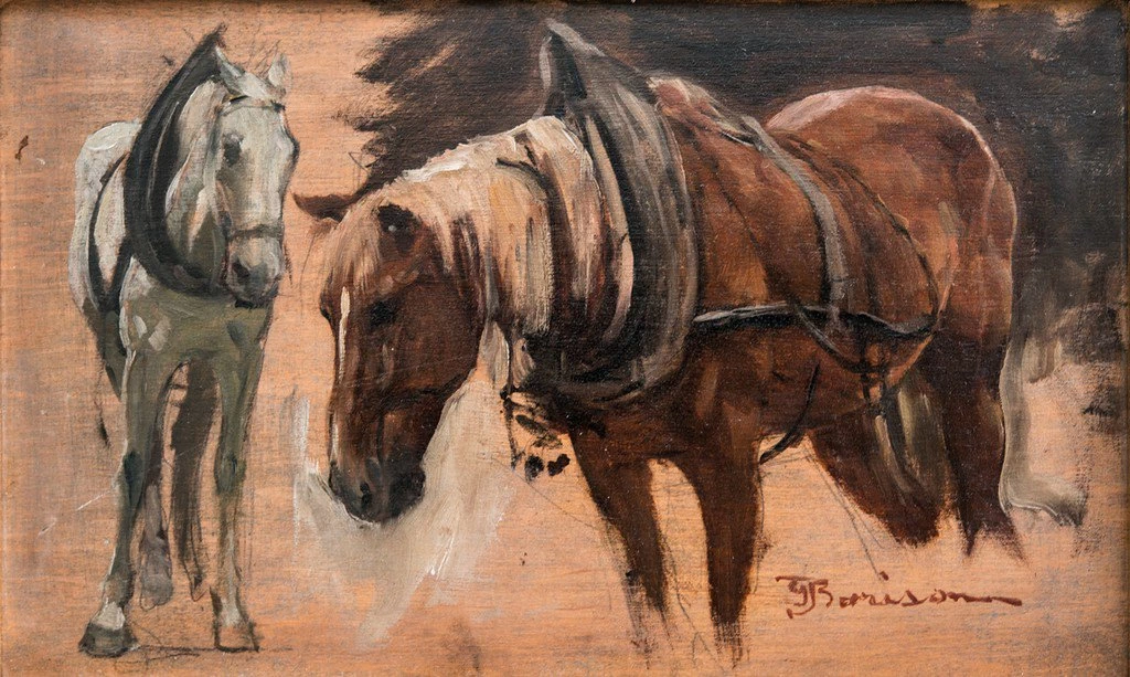 Studi di cavalli
